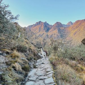 Practical Information about Machu Picchu Tours