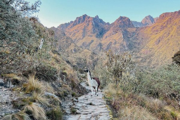 Practical Information about Machu Picchu Tours